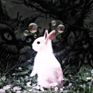 white rabbit