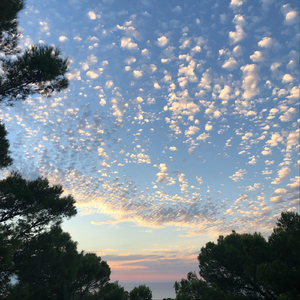 Fly Instrumental (feat. Alex Goretzki)