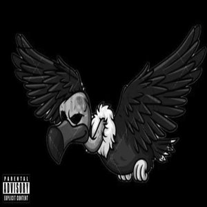 Vulture