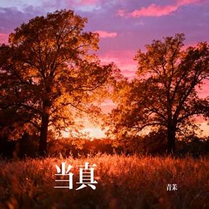 当真 (Cover 曲肖冰)