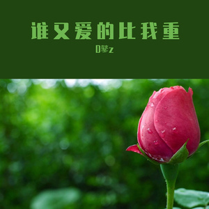 谁又爱的比我重