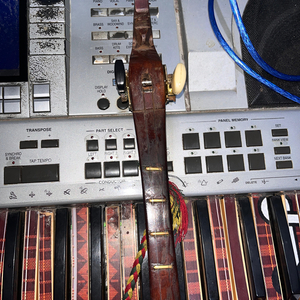 Berkisen Tanduk Salih (Kulcapi)