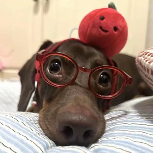 不灵不灵（live版）