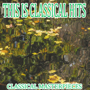 Drottningholm Music: XX. Allegro