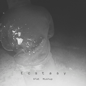 Ecstasy(SFat Mushup)