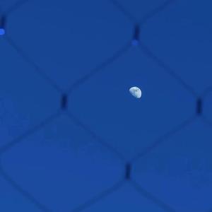 努力工作吧（磁性男声版）