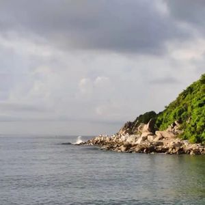 辛不辛苦自己清楚