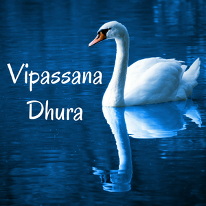 Cosmos (Soothing Sounds)