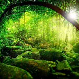 唱一唱 傣族民歌