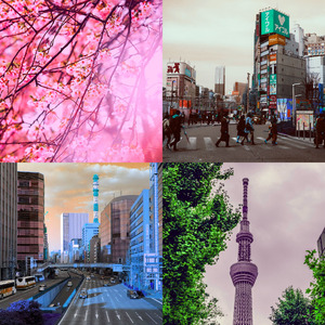 一尘不染怀旧印象数