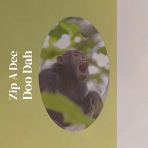 Zip A Dee Doo Dah