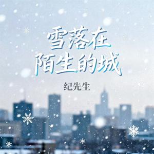 雪落在陌生的城