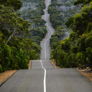 Along the Road to Love