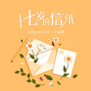 十七岁的信纸