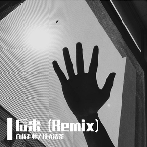 刘若英-后来（TEA清茶 / 白杨老师 remix）