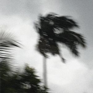 how are you so used to this?