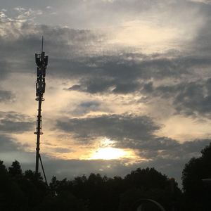 只是简单喜欢你