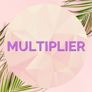 Multiplier