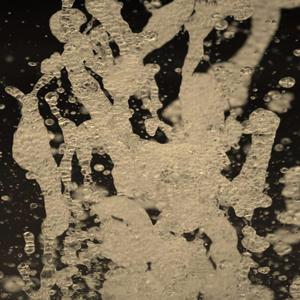 Velenas Istorija (2022)