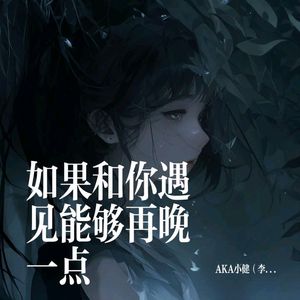 如果和你遇见能够再晚一点