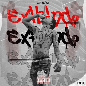Exibindo