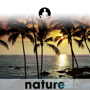 A Stop in San Tereni