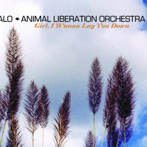 Girl, I Wanna Lay You Down (International Version)