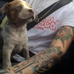 157压魂 (空拍版)