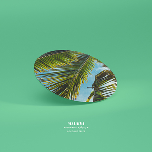 Coconut Trees