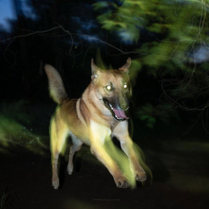 Dziura W Chmurach (Oczy Piesków)