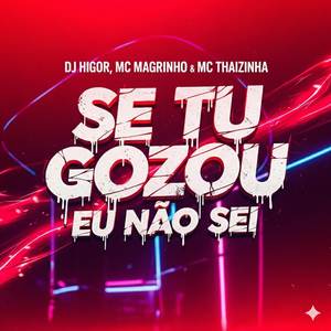 SE TU GOZOU EU NÃO SEI