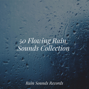 Birds in Dense Woods