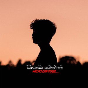 ไม่ไหวอย่าฝืน อย่ายืนเดี๋ยวล้ม