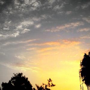 You're Going to Lose That Girl