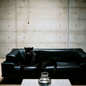 [Trap]SASIOVERLXRD X 华云龙KLE X 孟菲斯 Type beat - 干