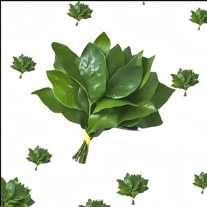 保持安全距离的默契