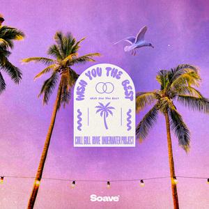 Wish You The Best (feat. Andreea Flavia)