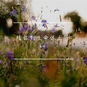 陪你到生命休止符