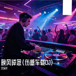 晚风碎念（伤感车载DJ）