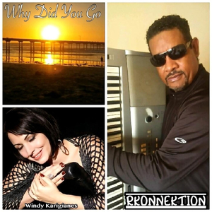 Why Did You Go (feat. Windy Karigianes)