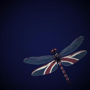 High on steels (Radio Edit)