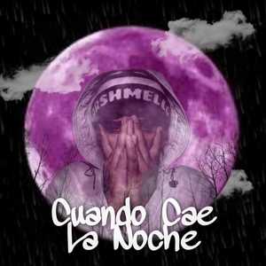 Cuando Cae la Noche