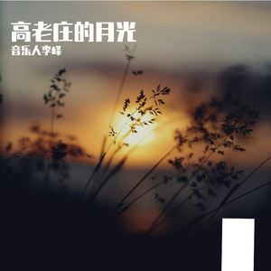 高老庄的月光