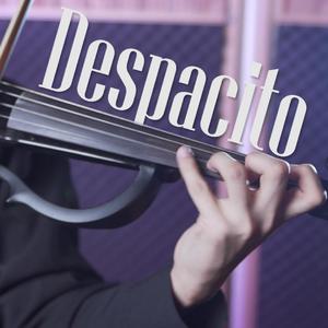 depacito 小提琴炫技版