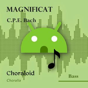 Magnificat: Magnificat (Emphasised voice and other voices)