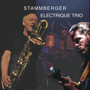 Stammberger Electrique Trio 1st set @ Kuehlspot Social Club (Live)