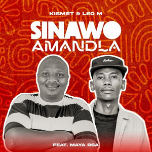 Sinawo Amandla