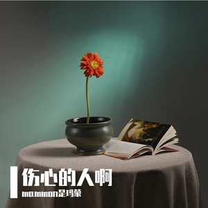 伤心的天上人