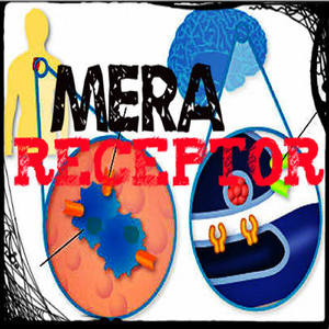 Receptor