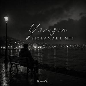 Yüreğin Sızlamadı Mı?